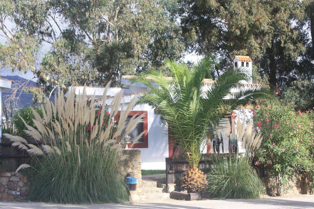Molino El Mastral Tarifa Exterior foto