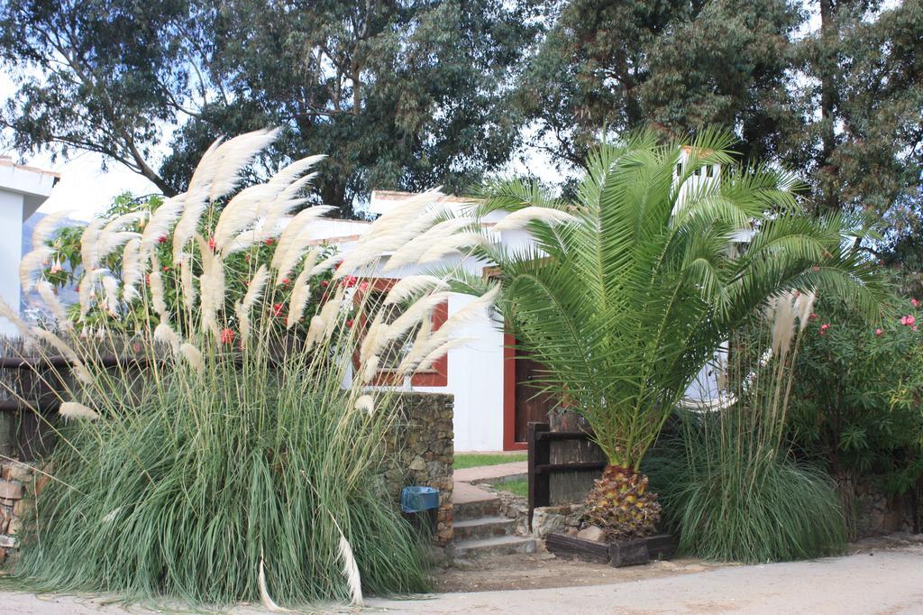 Molino El Mastral Tarifa Exterior foto